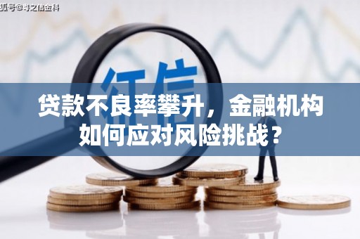 新埤贷款不良率攀升，金融机构如何应对风险挑战？