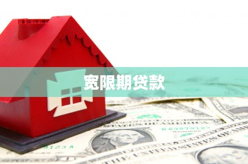 新埤宽限期贷款