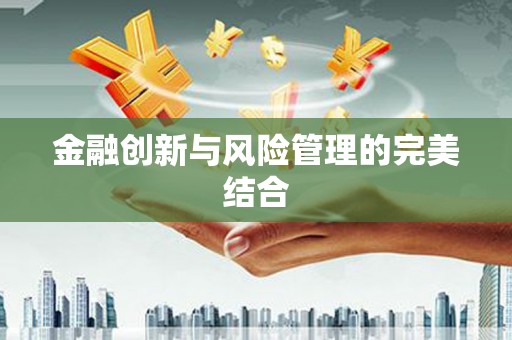 新埤金融创新与风险管理的完美结合