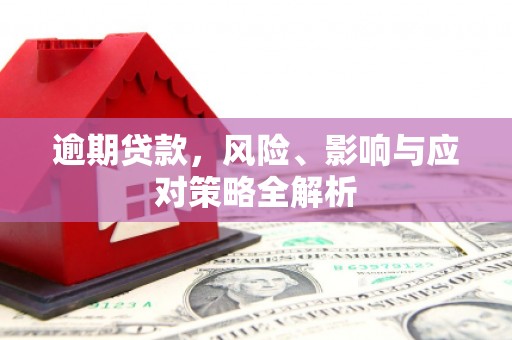 新埤逾期贷款，风险、影响与应对策略全解析