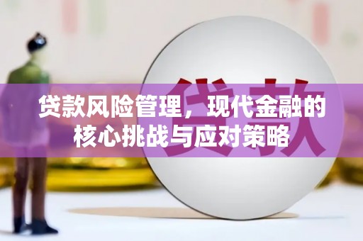 新埤贷款风险管理，现代金融的核心挑战与应对策略