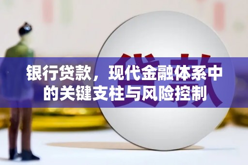 新埤银行贷款，现代金融体系中的关键支柱与风险控制