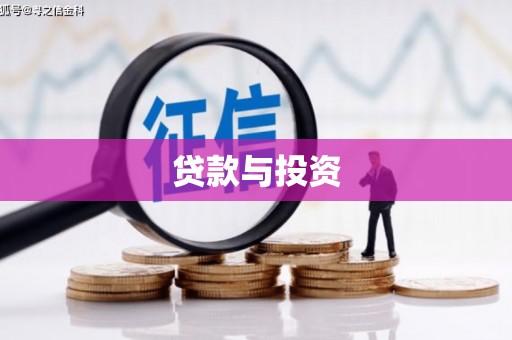 新埤贷款与投资