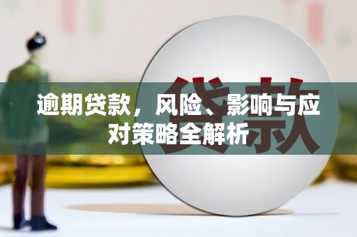 新埤逾期贷款，风险、影响与应对策略全解析