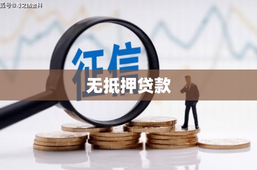 新埤无抵押贷款