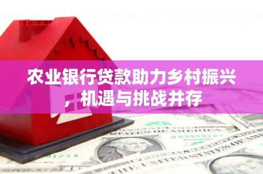 新埤农业银行贷款助力乡村振兴，机遇与挑战并存