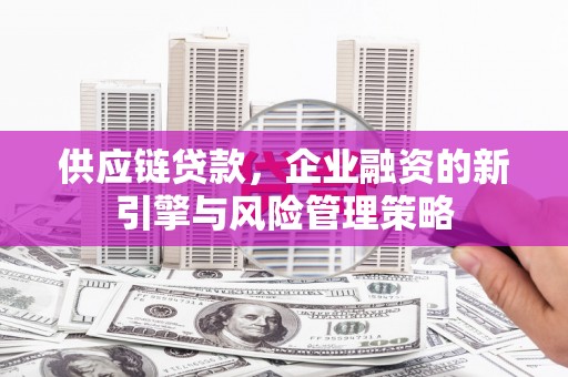 新埤供应链贷款，企业融资的新引擎与风险管理策略