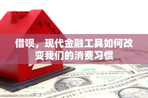 新埤借呗，现代金融工具如何改变我们的消费习惯