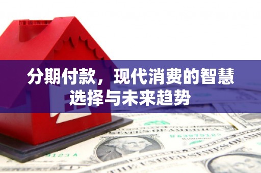 新埤分期付款，现代消费的智慧选择与未来趋势