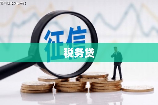 新埤税务贷