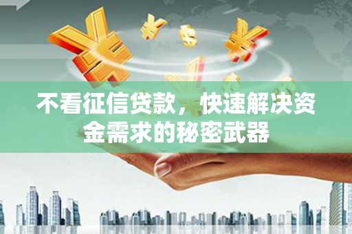 新埤不看征信贷款，快速解决资金需求的秘密武器