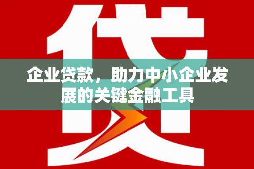 新埤企业贷款，助力中小企业发展的关键金融工具