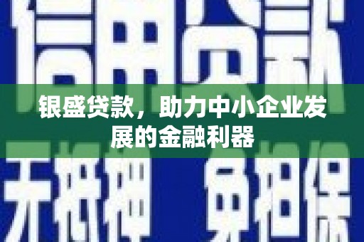 新埤银盛贷款，助力中小企业发展的金融利器