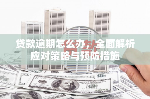 新埤贷款逾期怎么办，全面解析应对策略与预防措施