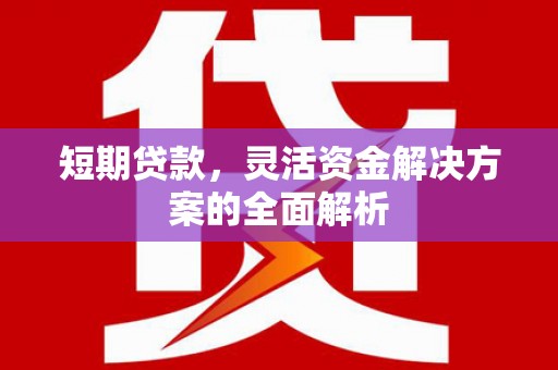 新埤短期贷款，灵活资金解决方案的全面解析
