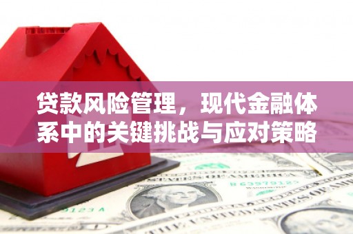 新埤贷款风险管理，现代金融体系中的关键挑战与应对策略