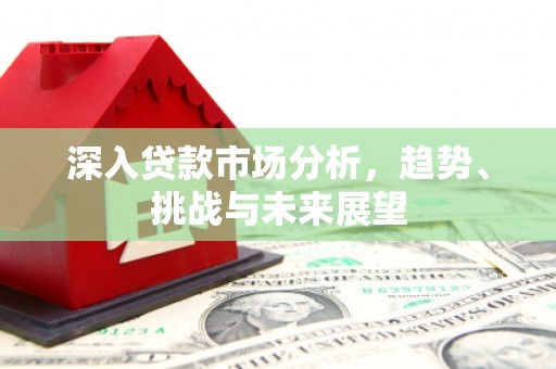 新埤深入贷款市场分析，趋势、挑战与未来展望
