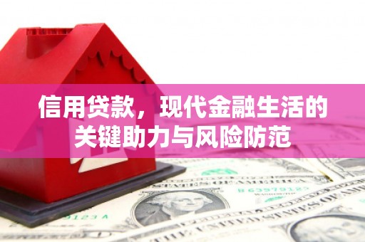 新埤信用贷款，现代金融生活的关键助力与风险防范