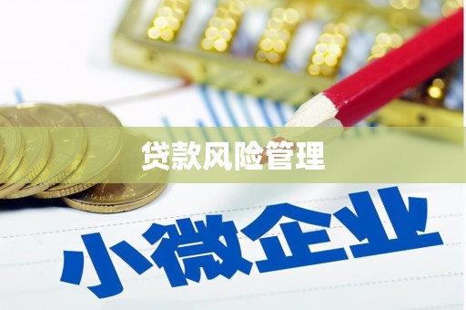 新埤贷款风险管理