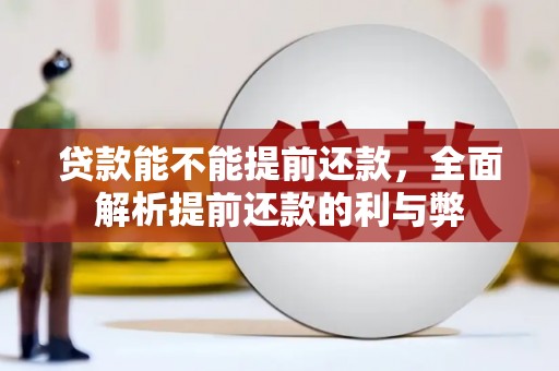 新埤贷款能不能提前还款，全面解析提前还款的利与弊