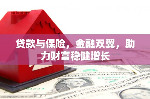 新埤贷款与保险，金融双翼，助力财富稳健增长