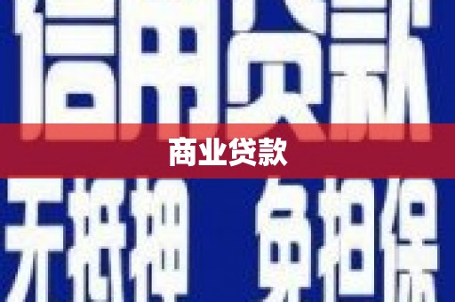 新埤商业贷款