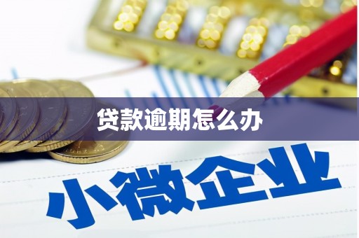 新埤贷款逾期怎么办
