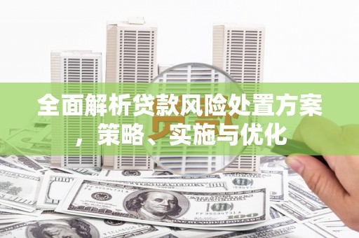 新埤全面解析贷款风险处置方案，策略、实施与优化