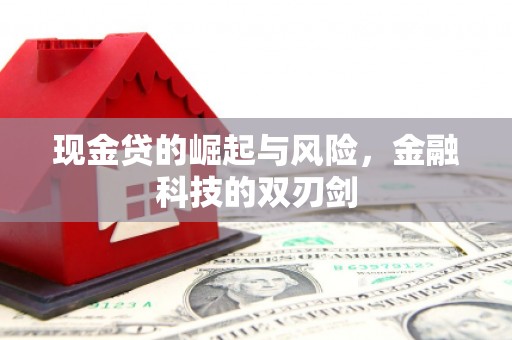 新埤现金贷的崛起与风险，金融科技的双刃剑
