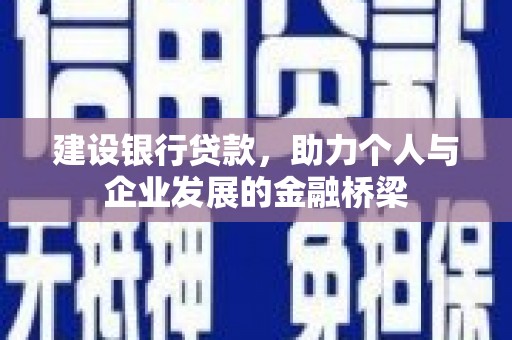 新埤建设银行贷款，助力个人与企业发展的金融桥梁