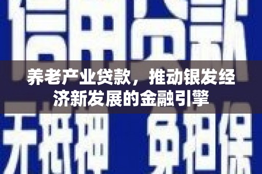 新埤养老产业贷款，推动银发经济新发展的金融引擎