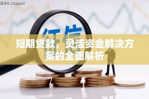 新埤短期贷款，灵活资金解决方案的全面解析