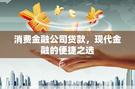 新埤消费金融公司贷款，现代金融的便捷之选