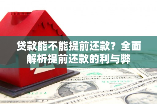 新埤贷款能不能提前还款？全面解析提前还款的利与弊