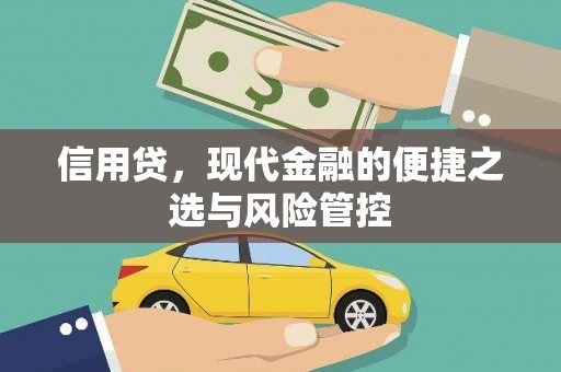 新埤信用贷，现代金融的便捷之选与风险管控
