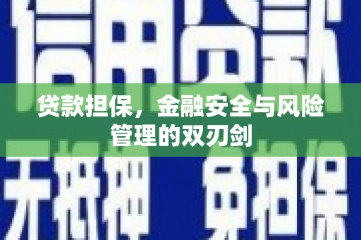 新埤贷款担保，金融安全与风险管理的双刃剑