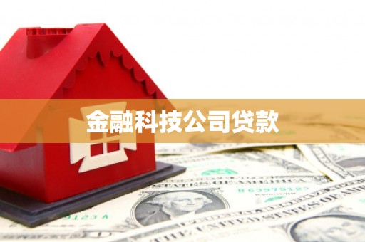 新埤金融科技公司贷款