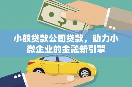 新埤小额贷款公司贷款，助力小微企业的金融新引擎