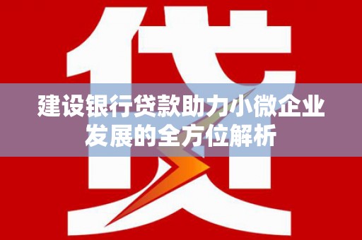 新埤建设银行贷款助力小微企业发展的全方位解析