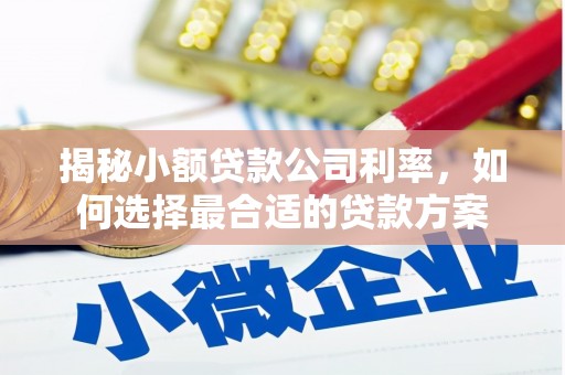 新埤揭秘小额贷款公司利率，如何选择最合适的贷款方案