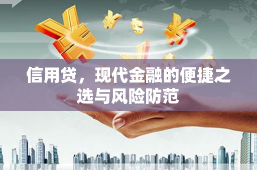 新埤信用贷，现代金融的便捷之选与风险防范