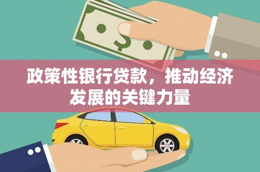 新埤政策性银行贷款，推动经济发展的关键力量