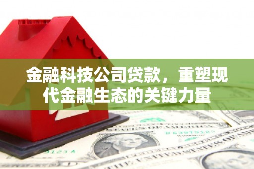 新埤金融科技公司贷款，重塑现代金融生态的关键力量