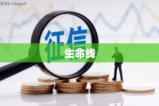 新埤生命线