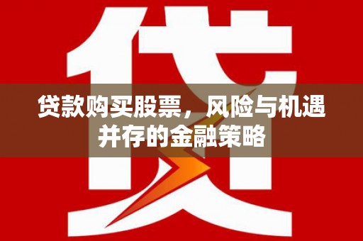 新埤贷款购买股票，风险与机遇并存的金融策略