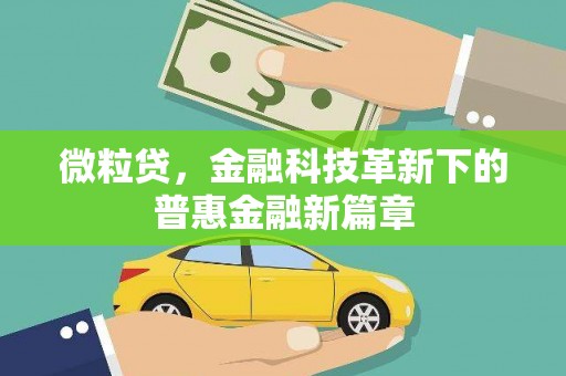 新埤微粒贷，金融科技革新下的普惠金融新篇章