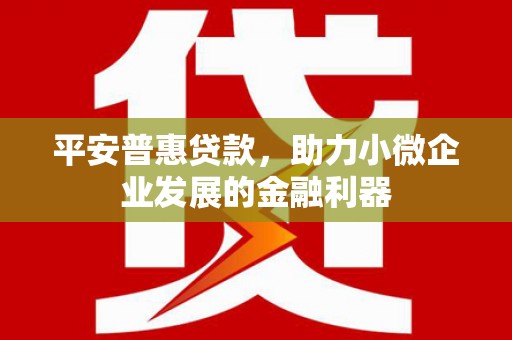 新埤平安普惠贷款，助力小微企业发展的金融利器