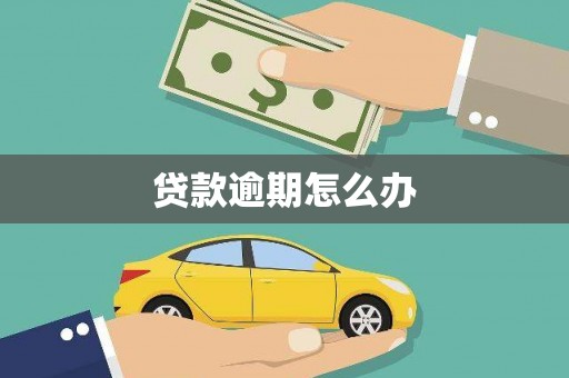 新埤贷款逾期怎么办