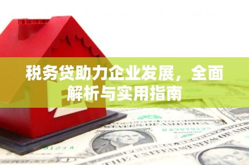 新埤税务贷助力企业发展，全面解析与实用指南