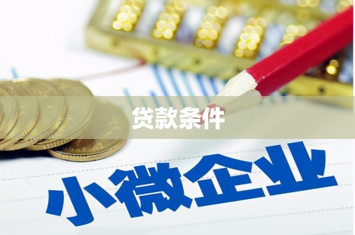 新埤贷款条件